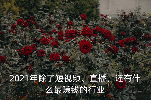 2021年除了短視頻、直播，還有什么最賺錢(qián)的行業(yè)