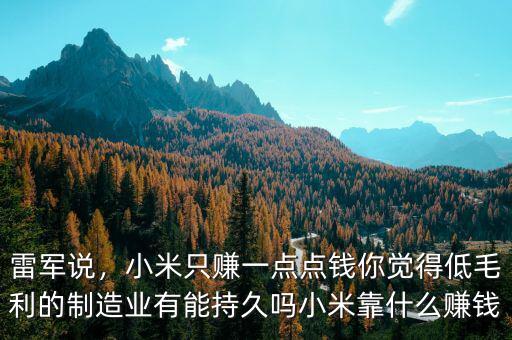 雷軍說，小米只賺一點點錢你覺得低毛利的制造業(yè)有能持久嗎小米靠什么賺錢