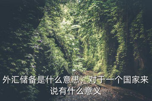 外匯儲(chǔ)備是什么意思，對(duì)于一個(gè)國家來說有什么意義