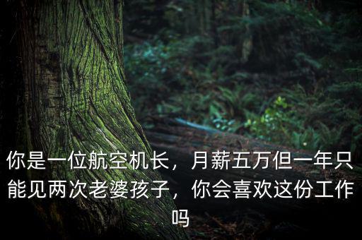 你是一位航空機長，月薪五萬但一年只能見兩次老婆孩子，你會喜歡這份工作嗎