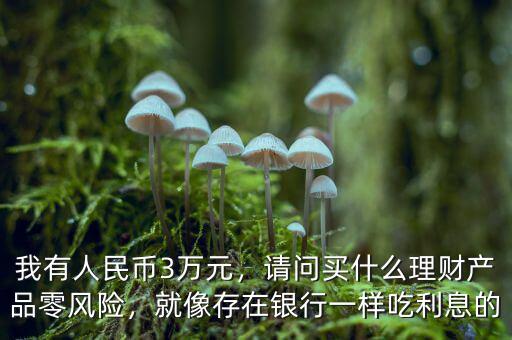 我有人民幣3萬元，請問買什么理財產(chǎn)品零風(fēng)險，就像存在銀行一樣吃利息的