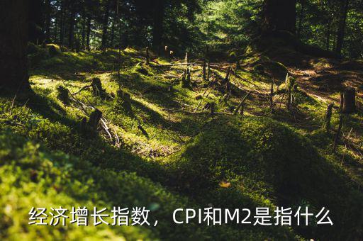 經(jīng)濟(jì)增長(zhǎng)指數(shù)，CPI和M2是指什么