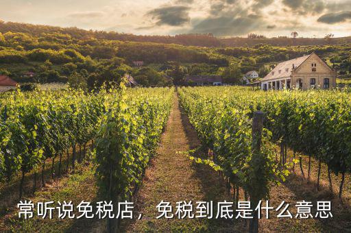 常聽說免稅店，免稅到底是什么意思