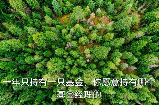 十年只持有一只基金，你愿意持有哪個基金經(jīng)理的