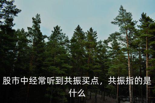 股市中經(jīng)常聽到共振買點(diǎn)，共振指的是什么