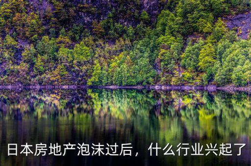 日本房地產(chǎn)泡沫過后，什么行業(yè)興起了