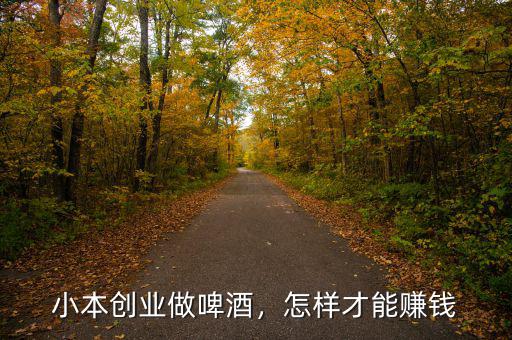 小本創(chuàng)業(yè)做啤酒，怎樣才能賺錢