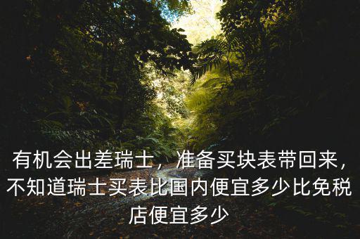 有機(jī)會(huì)出差瑞士，準(zhǔn)備買塊表帶回來，不知道瑞士買表比國內(nèi)便宜多少比免稅店便宜多少