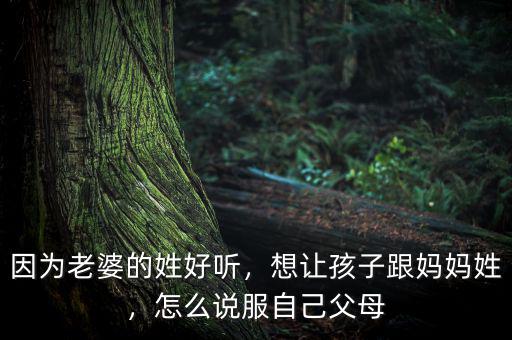 因為老婆的姓好聽，想讓孩子跟媽媽姓，怎么說服自己父母