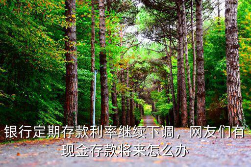 銀行定期存款利率繼續(xù)下調(diào)，網(wǎng)友們有現(xiàn)金存款將來怎么辦