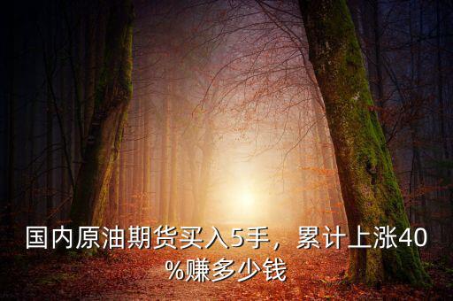 國內(nèi)原油期貨買入5手，累計上漲40%賺多少錢