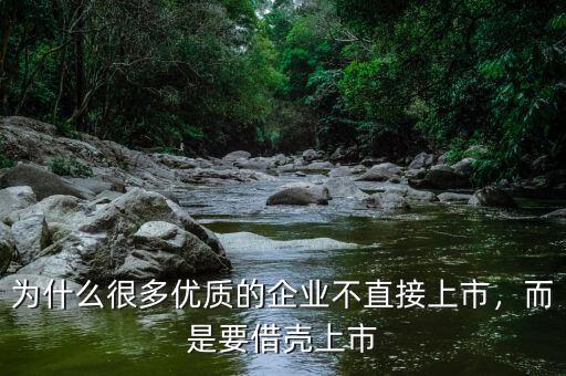 為什么很多優(yōu)質(zhì)的企業(yè)不直接上市，而是要借殼上市