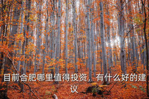 目前合肥哪里值得投資，有什么好的建議