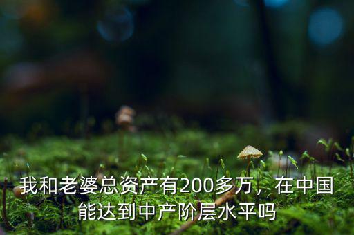 我和老婆總資產(chǎn)有200多萬(wàn)，在中國(guó)能達(dá)到中產(chǎn)階層水平嗎