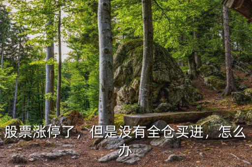 股票漲停了，但是沒有全倉買進，怎么辦