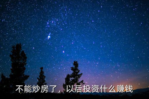不能炒房了，以后投資什么賺錢