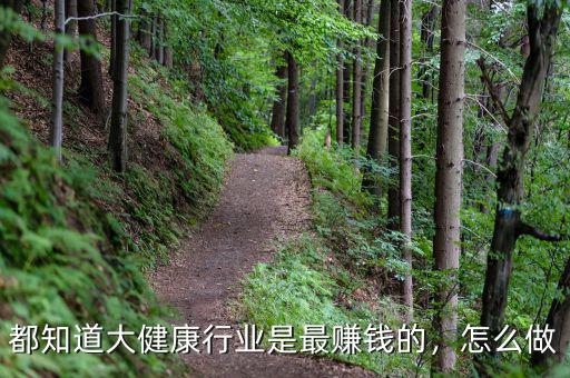 都知道大健康行業(yè)是最賺錢的，怎么做