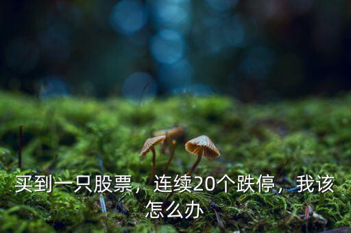 買(mǎi)到一只股票，連續(xù)20個(gè)跌停，我該怎么辦