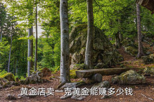 黃金和鉑金利潤(rùn)多少,黃金店賣(mài)一克黃金能賺多少錢(qián)