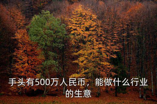 手頭有500萬人民幣，能做什么行業(yè)的生意