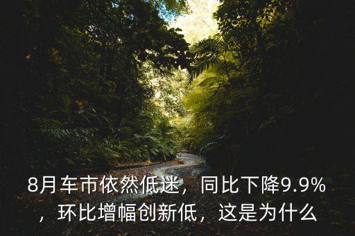 8月車市依然低迷，同比下降9.9%，環(huán)比增幅創(chuàng)新低，這是為什么