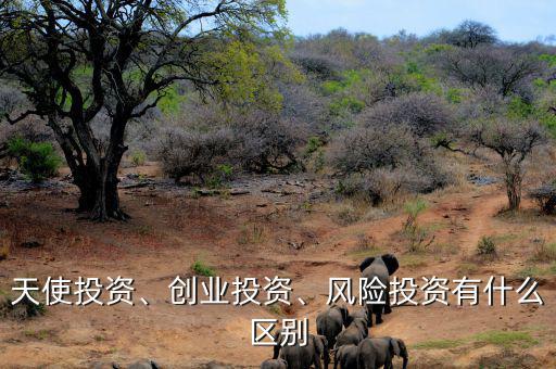 天使投資、創(chuàng)業(yè)投資、風(fēng)險(xiǎn)投資有什么區(qū)別