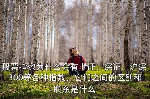 股票指數(shù)為什么會有上證、深證、滬深300等各種指數(shù)，它們之間的區(qū)別和聯(lián)系是什么