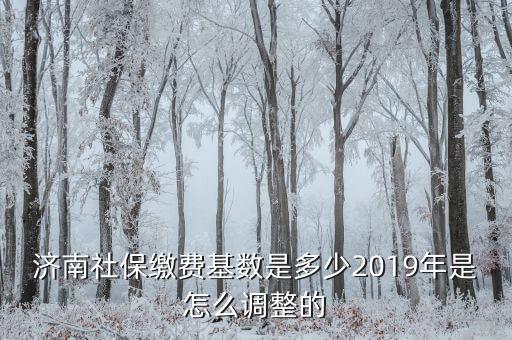 濟南社?；鶖?shù)怎么算,2019年是怎么調(diào)整的