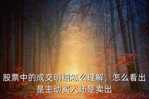 股票中的成交明細怎么理解，怎么看出是主動買入還是賣出
