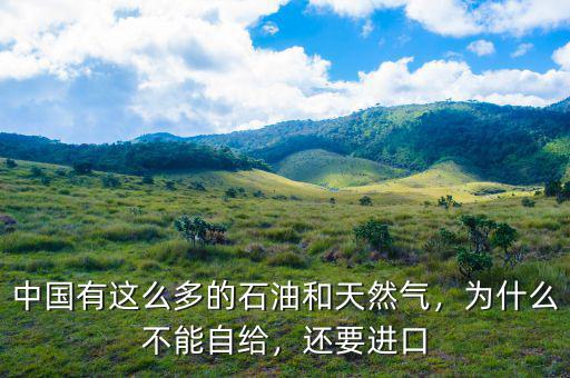 中國有這么多的石油和天然氣，為什么不能自給，還要進口