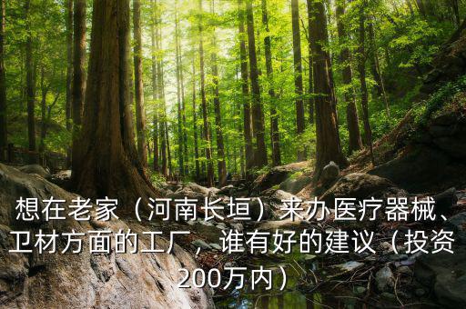 想在老家（河南長垣）來辦醫(yī)療器械、衛(wèi)材方面的工廠，誰有好的建議（投資200萬內(nèi)）