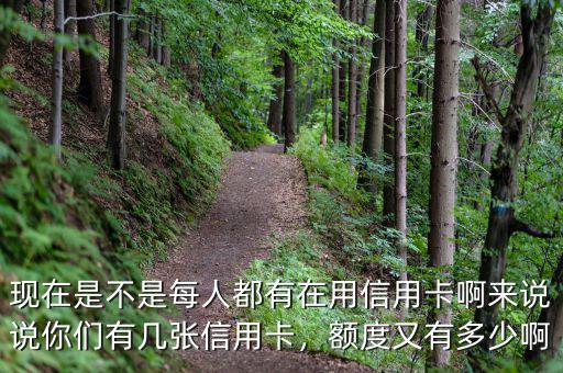 現(xiàn)在是不是每人都有在用信用卡啊來(lái)說(shuō)說(shuō)你們有幾張信用卡，額度又有多少啊