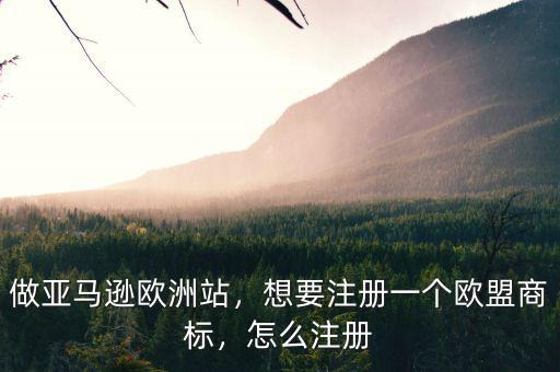 做亞馬遜歐洲站，想要注冊一個歐盟商標(biāo)，怎么注冊