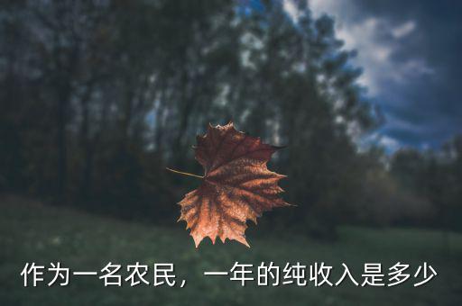 作為一名農(nóng)民，一年的純收入是多少