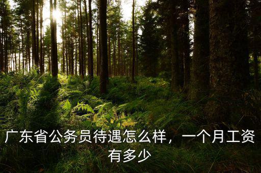 廣東省公務(wù)員待遇怎么樣，一個(gè)月工資有多少