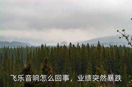 飛樂音響怎么回事，業(yè)績突然暴跌