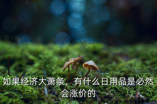 如果經(jīng)濟(jì)大蕭條，有什么日用品是必然會(huì)漲價(jià)的
