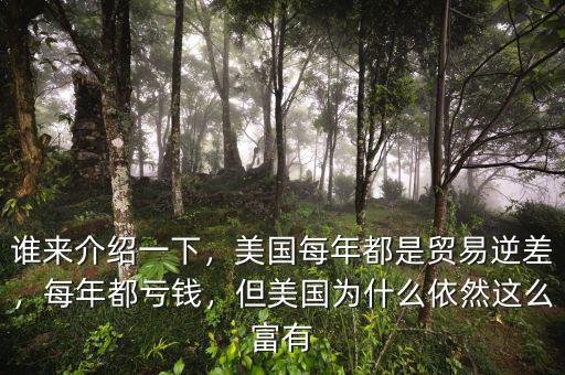 誰(shuí)來(lái)介紹一下，美國(guó)每年都是貿(mào)易逆差，每年都虧錢，但美國(guó)為什么依然這么富有