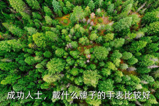 成功人士，戴什么牌子的手表比較好