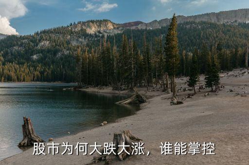 股市為何大跌大漲，誰能掌控