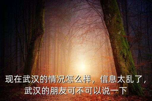現(xiàn)在武漢的情況怎么樣，信息太亂了，武漢的朋友可不可以說一下