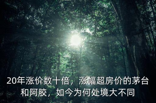 20年漲價數(shù)十倍，漲幅超房價的茅臺和阿膠，如今為何處境大不同