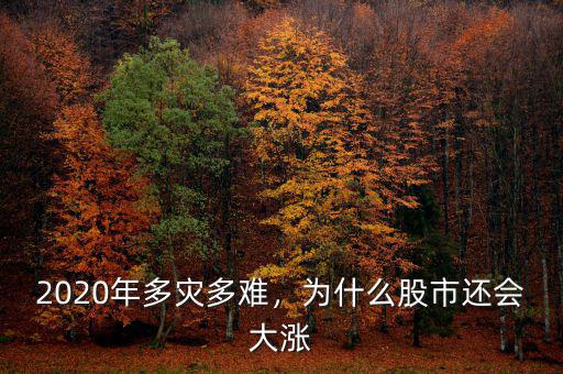 2020年多災(zāi)多難，為什么股市還會(huì)大漲