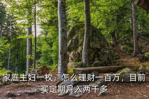 家庭主婦一枚，怎么理財一百萬，目前買定期月入兩千多