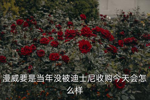 迪士尼什么時候收購漫威,迪士尼收購?？怂?/></a></span><span id=