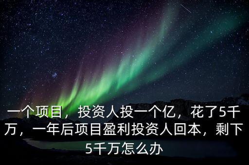 一個(gè)項(xiàng)目，投資人投一個(gè)億，花了5千萬(wàn)，一年后項(xiàng)目盈利投資人回本，剩下5千萬(wàn)怎么辦