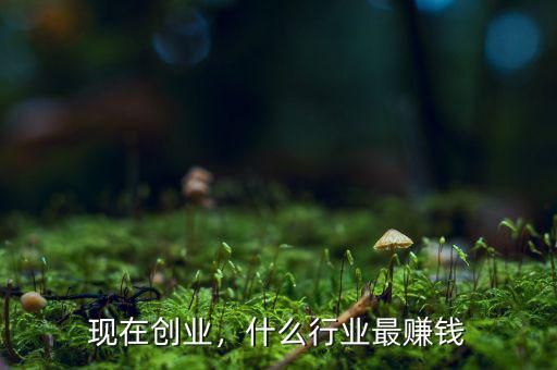 現(xiàn)在創(chuàng)業(yè)，什么行業(yè)最賺錢