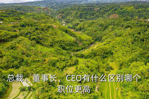 總裁、董事長、CEO有什么區(qū)別哪個職位更高