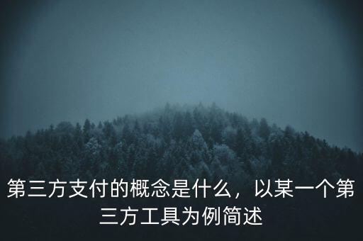 第三方支付的概念是什么，以某一個第三方工具為例簡述