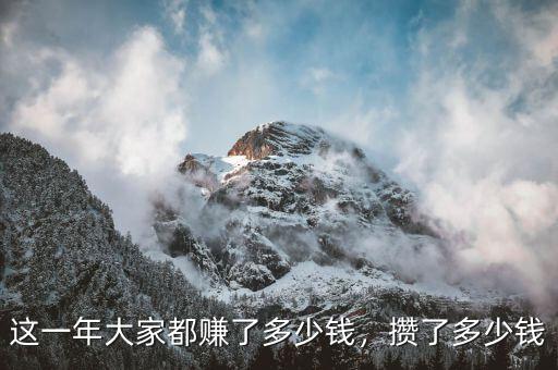 這一年大家都賺了多少錢(qián)，攢了多少錢(qián)